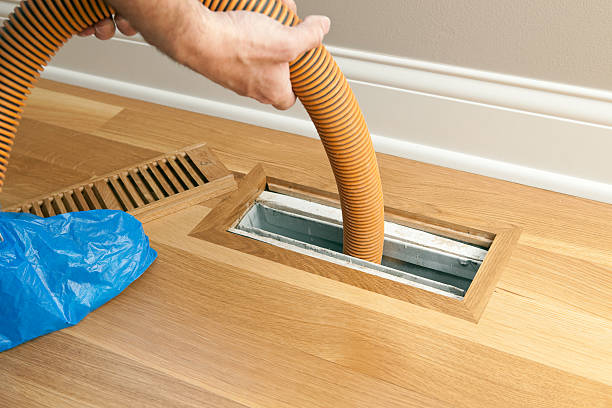 Best Air Vent Cleaning Services  in West Hammond, NM